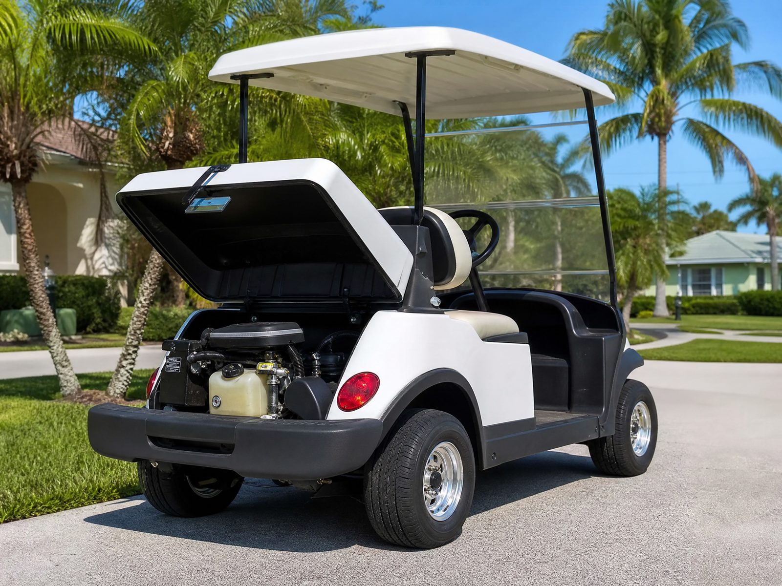 Gas-powered golf cart with rear engine